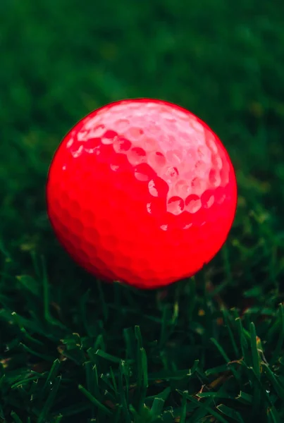 厚い緑の芝生コース 木とぼやけて青空背景のピンク ゴルフボール クローズ アップ表示 — ストック写真