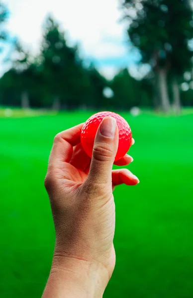 女性の手 緑コース草 青い空にピンクのゴルフ ボールを保持します — ストック写真