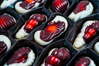 Bir dizi lezzetli deniz Belçika çikolatalı pralin şekerler bir kutu içinde. Deniz kabuğu, deniz atı, karides şekilleri.