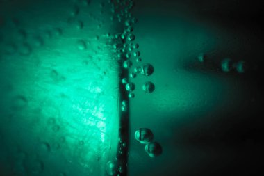 Bilimsel arka plan. Biyolojik makro arka plan.