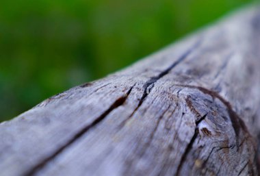 Gri rustik ahşap çit doku arka plan, makro görünümü, yakın çekim. Ahşap korkuluk, makro görünümü, arka planda yeşil bulanık doğa.