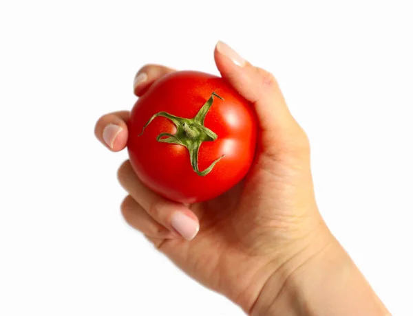 Eine Köchin Hält Der Hand Ein Buntes Rotes Tomatengemüse Isoliert — Stockfoto