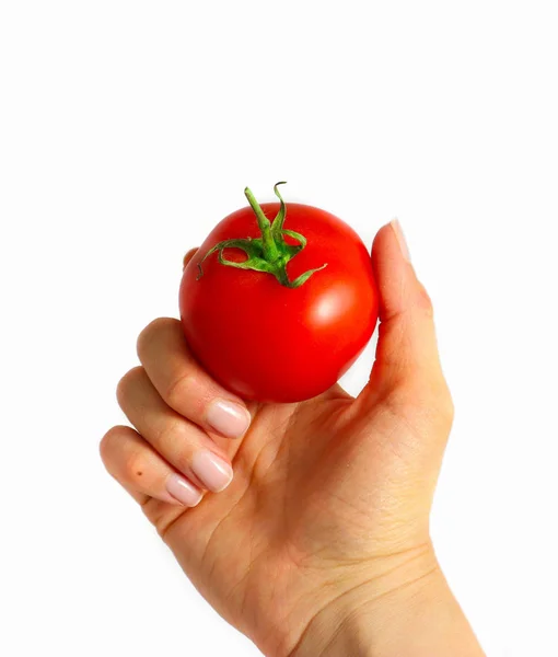 Eine Köchin Hält Der Hand Ein Buntes Rotes Tomatengemüse Isoliert — Stockfoto