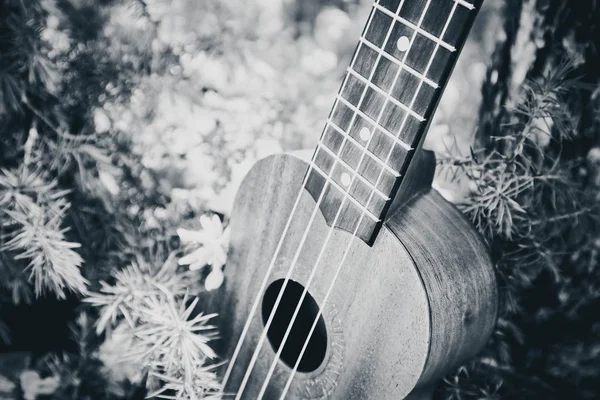 四弦琴吉他在山自然松树森林风景 照片描绘的乐器四弦琴小吉他在户外自然绿色背景 绳子关上了宏视图 — 图库照片