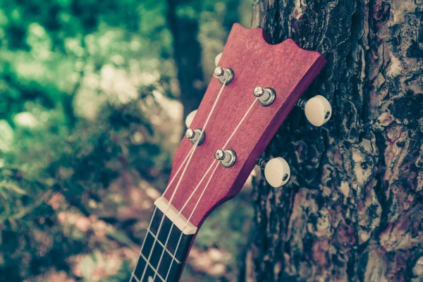 Ukelele Gitaar Het Berglandschap Natuur Pine Forest Foto Toont Muziekinstrument — Stockfoto