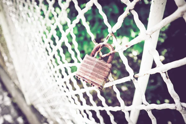 Old rusty Love lock on the metal fence. Photo depicts macro, close up view of the lovelocker on the white metal mesh, blurred green garden on the background.