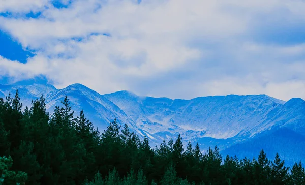 Bela Paisagem Montanhas Alpinas Místicas Nebulosas Nuvens Nevoeiro Floresta Mística — Fotografia de Stock