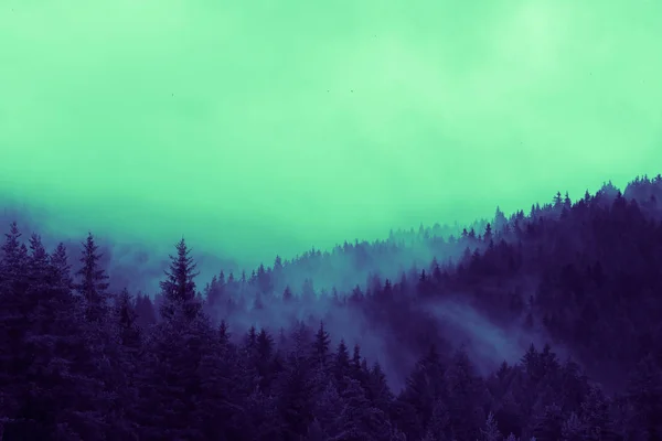 Belas Montanhas Místicas Nebulosas Nuvens Nevoeiro Floresta Mística Pinheiros Manhã — Fotografia de Stock