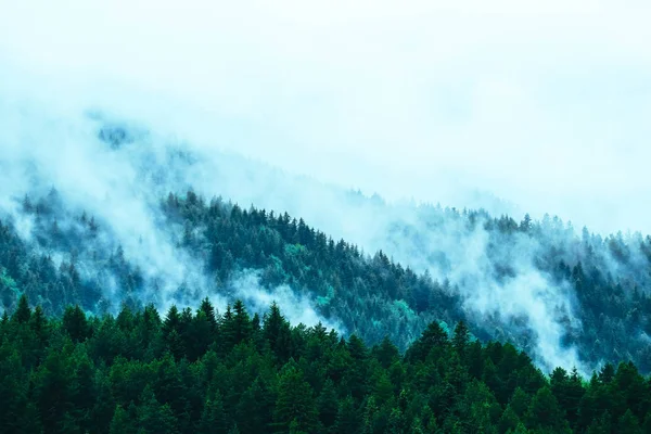 Ködös Misztikus Hegyei Köd Felhők Fenyő Misztikus Erdőben Reggel Európa — Stock Fotó