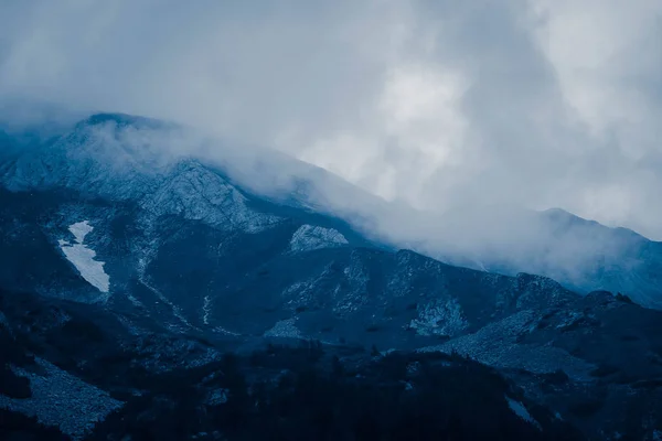 Bellissime Montagne Mistiche Nebbiose Nuvole Nebbia Bosco Mistico Pino Mattina — Foto Stock