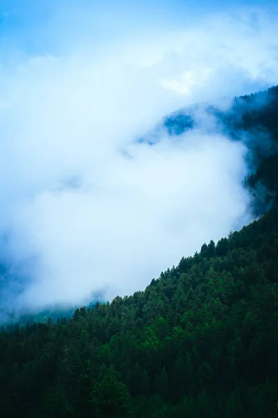 Hermosas Montañas Místicas Brumosas Nubes Niebla Los Bosques Místicos Pinos —  Fotos de Stock