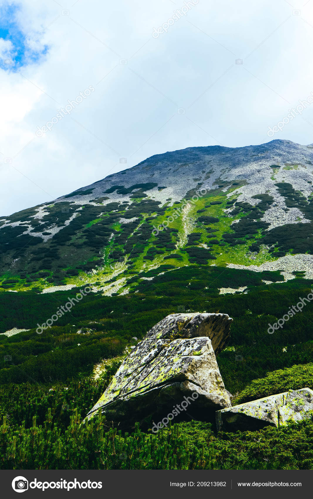 äºé¢å­è²çç»¿èèå¤§ç³å¤´å¨ç¾¤å±±ä¸­æ¶å¤±äº ç¥ç§æ£®æéçèç°ç³ â å¾åºç§ç#
