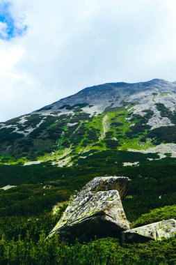 Renkli yeşil yosunlu büyük kaya dağlarda kaybolmuştur. Mistik orman eski bir gri taş.