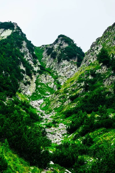 Gyönyörű Alpesi Magas Hegyek Csúcsa Csodálatos Fjord Túrázás Zöld Dombjai — Stock Fotó