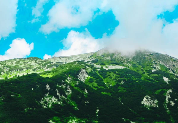 Beautiful Alpine High Mountains Peak Cloudy Foggy Amazing Green Hills — Stock Photo, Image