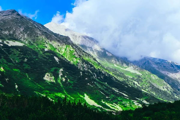 Mooie Alpine Hooggebergte Piek Bewolkt Mistig Verbazingwekkende Landschap Van Groene — Stockfoto