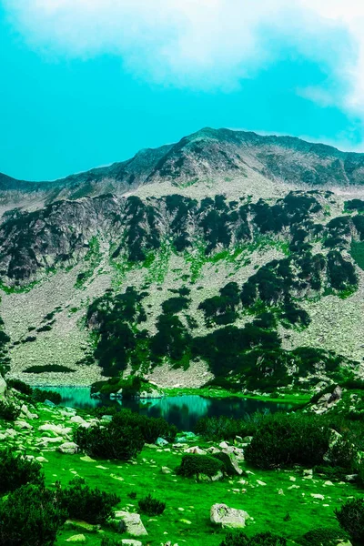 Magas Hegyek Csodálatos Alpesi Gyönyörű Fjord Hegy Folyó Túrázás Paradicsomi — Stock Fotó