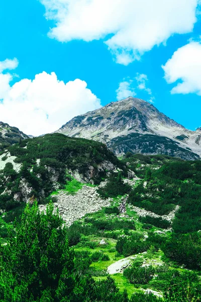 美丽的高山山峰 蓝天背景 惊人的山徒步旅行天堂风景 — 图库照片