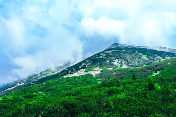 Alpok Magas Hegyei Csúcs Felhős Ködös Csodálatos Zöld Dombjai Között — Stock Fotó