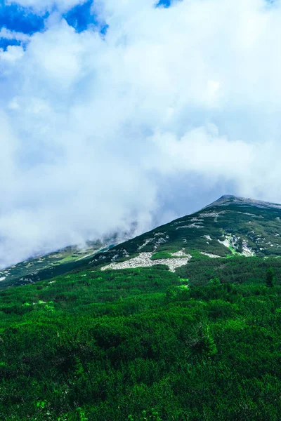 Belas Montanhas Altas Alpinas Pico Nublado Nebuloso Paisagem Incrível Colinas — Fotografia de Stock