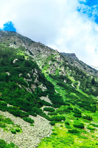 Belas Montanhas Altas Alpinas Pico Nublado Nebuloso Paisagem Incrível Colinas — Fotografia de Stock