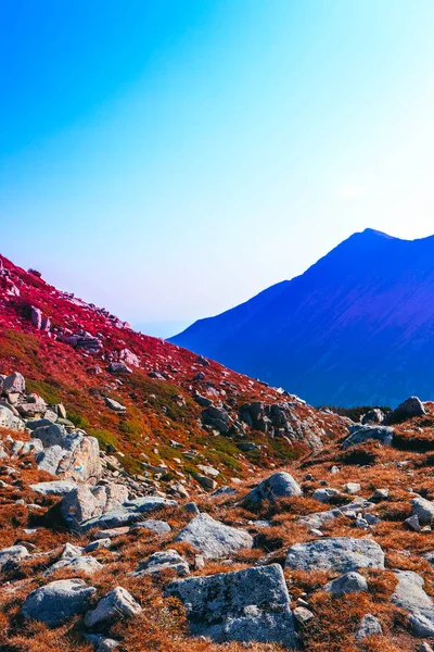 Красивые Высокогорные Вершины Голубое Небо Фоне Удивительный Пейзаж Гор Осень — стоковое фото