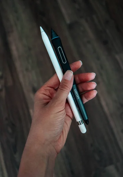 Pompleipencil Wacom Stylet Comparesment — Photo
