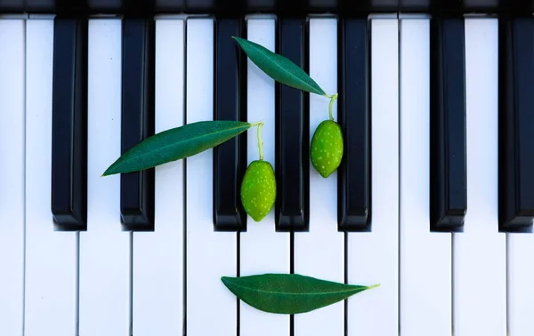 Olivenbrunch Und Piano Griechisches Musikkonzept Zum Anfassen Piano Unter Mit — Stockfoto
