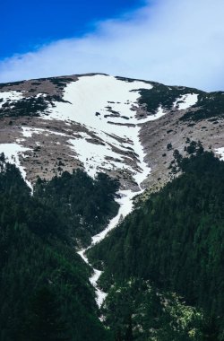Dağ kar tepe, güzel doğal kış zemin. Buz üstünde tepe, mavi gökyüzü arka plan. Alp orman manzara.