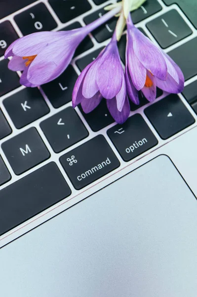 Laptop computer on the natural forest background, violet spring flowers lay on the keyboard. Notebook computer in the woods, freelance concept.