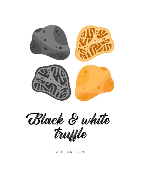 Μαύρο Και Άσπρο Μανιτάρι Τρούφα Κομμένα Φέτες Διανυσματικά Εικονογράφηση Επεξεργάσιμο — Διανυσματικό Αρχείο