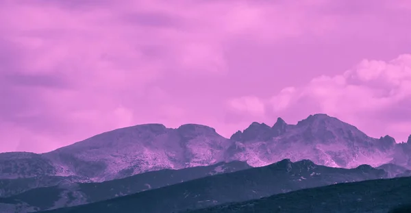 Beautiful mystic mountains sunset landscape. Mystical alpine morning, sunrise in violet and pink colors.