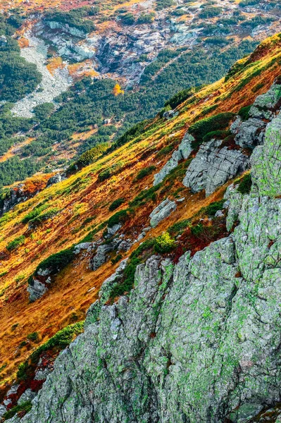 Αλπική Κοιλάδα Γραφική Φθινοπωρινή Φύση Σεζόν Φθινόπωρο Στα Βουνά Τοπίο — Φωτογραφία Αρχείου