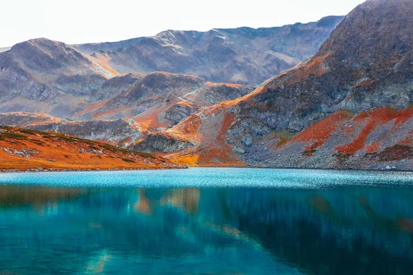 Autumn yellow alpine landscape, clean water in the alpine lake. Rocky mountain peak, fall season, scenic view.