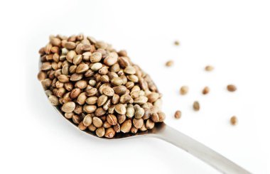 Kenevir tohumu beyaz arka plan üzerinde izole metal bir kaşık. Esrar tahıl kazık, bitkisel tedavi ürün, sağlıklı beslenme, makro görünümü.