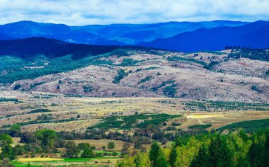 Sahne kırsal manzara, dağlar, alanlar, yaz. Fransa Provence zemin.