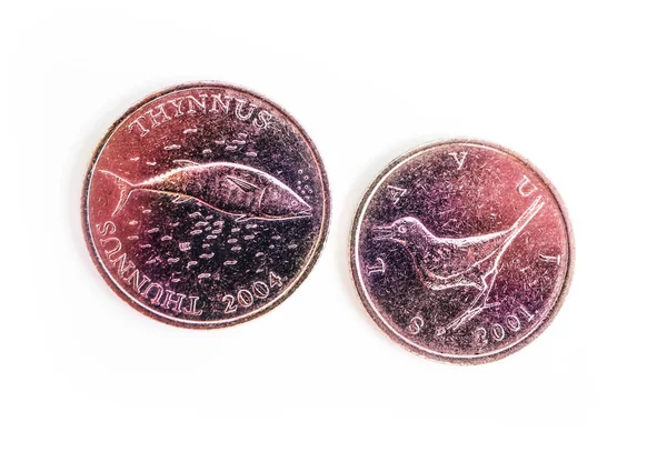 克罗地亚的钱 一个和两个硬币 厌恶和反向 孤立在白色背景 鱼和鸟图像 宏观视图 克罗地亚的金融 银行和商业概念 — 图库照片