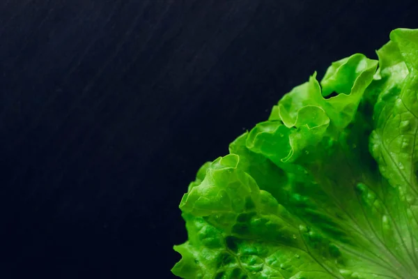 Fresh salad leaf with water drops, macro view on a black table. Green salad leaves backdrop.