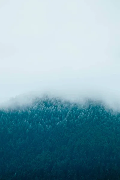 Belas montanhas místicas nebulosas. Nuvens de nevoeiro no pinheiro meu — Fotografia de Stock