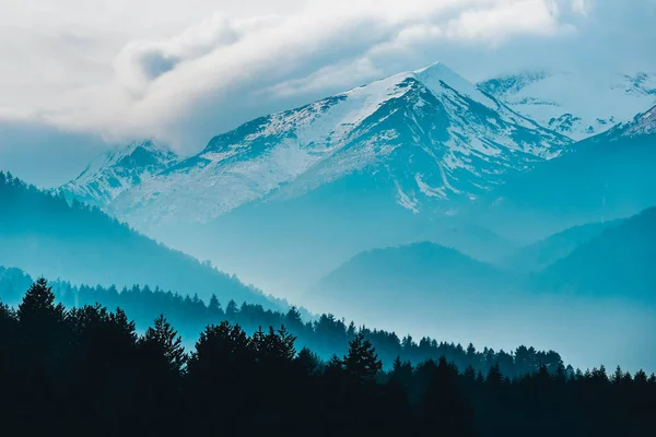 Increíble niebla alta montaña alpina paisaje. Valle del bosque de pinos —  Fotos de Stock