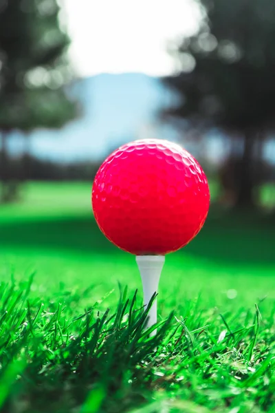 高尔夫红球在一个发球台上的高绿色草地 山和蓝天模糊的背景 近距离观看 — 图库照片