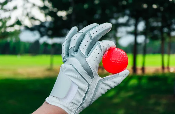 Uma Mão Golfista Feminina Com Uma Luva Uma Bola Vermelha — Fotografia de Stock