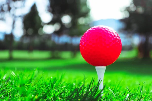 高尔夫红球在一个发球台上的高绿色草地 山和蓝天模糊的背景 近距离观看 — 图库照片