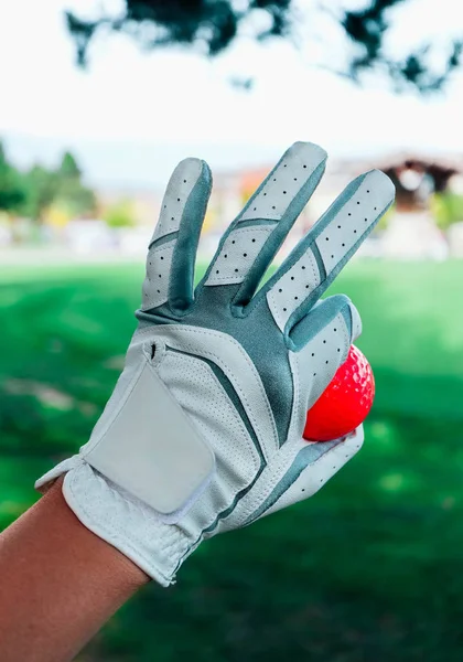 Uma Mão Golfista Feminina Com Uma Luva Uma Bola Vermelha — Fotografia de Stock