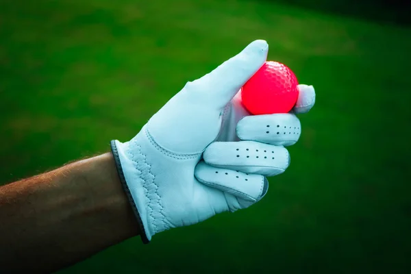 Una Mano Golfista Con Guante Una Bola Roja Cerca Campos —  Fotos de Stock