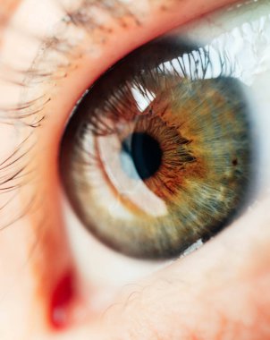 İnsan gözü yeşil makro görünümü. Kadın kahverengi göz yakın kadar vizyon kavramı.