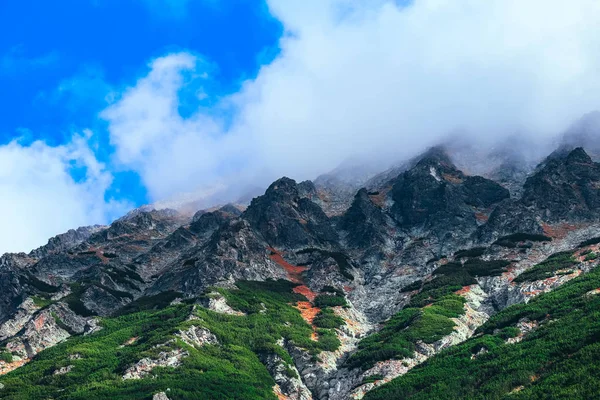 Nebliger Berggipfel Herbstliche Natur Wolken Felsigen Bergen Natürliche Kulisse Grüne — Stockfoto