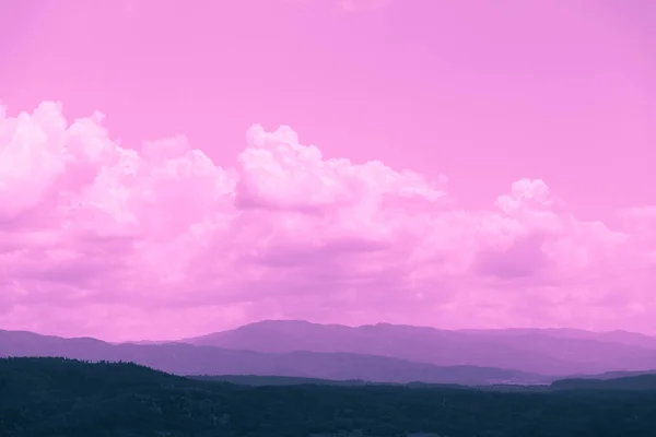 Wunderschöne Neblige Mystische Berge Nebelschwaden Den Mystischen Kiefernwäldern Auf Den — Stockfoto