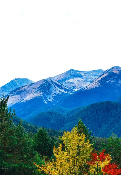 Βουνά Πάγου Κορυφές Κίτρινα Και Κόκκινα Δέντρα Πολύχρωμο Φθινόπωρο Σεζόν — Φωτογραφία Αρχείου