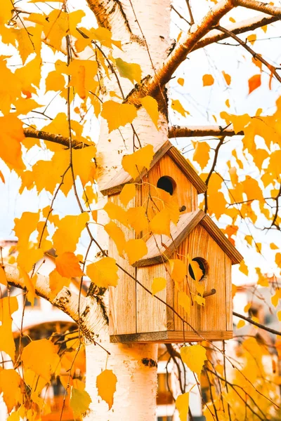 Birdhouse on birch tree, branches with yellow autumn foliage on background. Nesting box on a tree in a park, fall season.